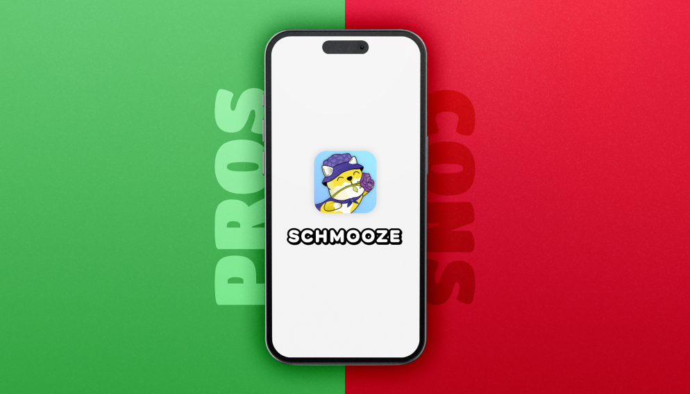 Pros And Cons Of Schmooze_