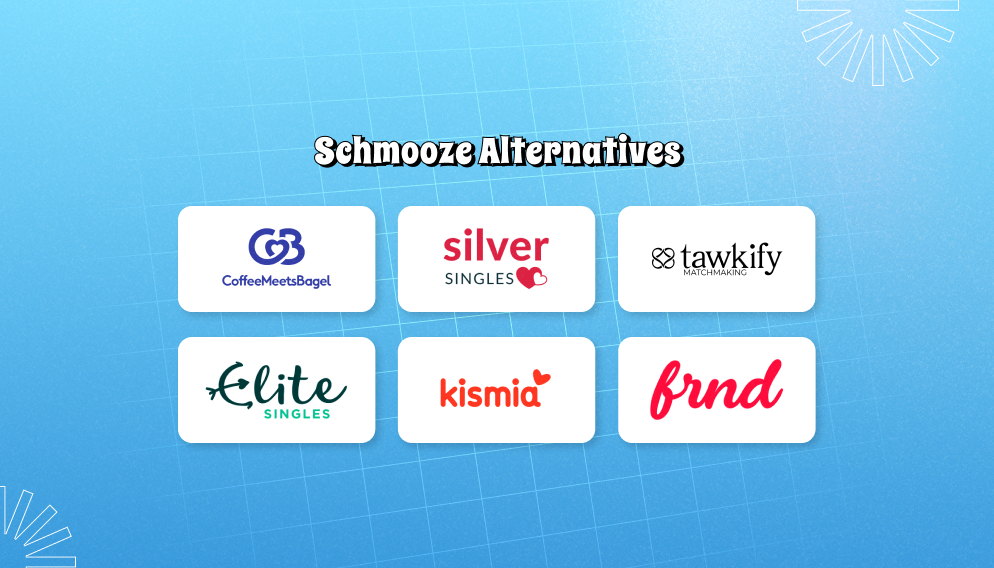 Schmooze Alternatives_