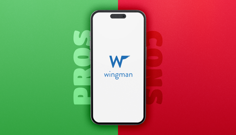 Pros And Cons Of Wingman_