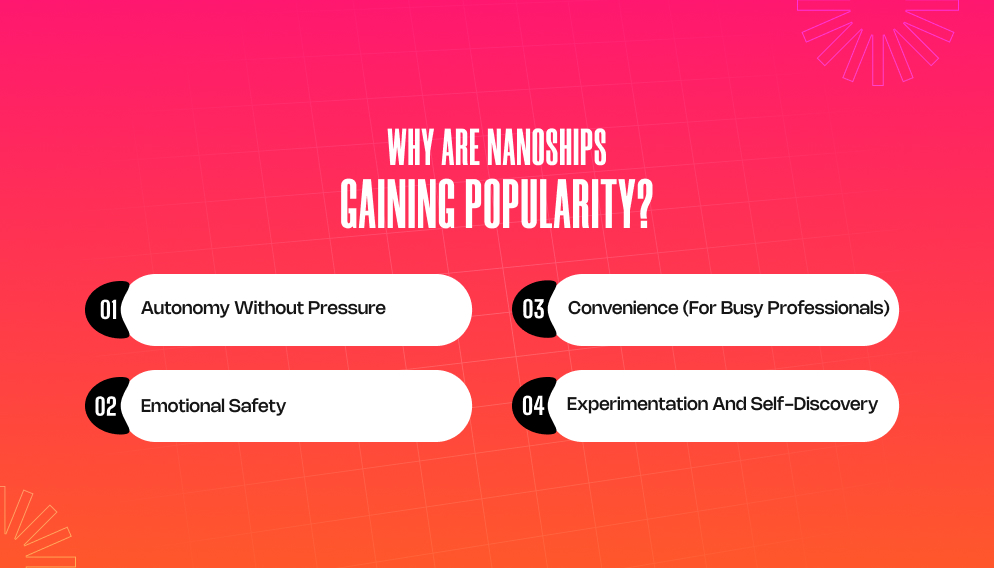 Why Are Nanoships Gaining Popularity_