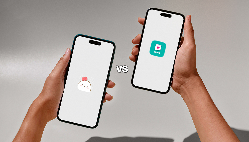 SumOne Vs Noteit